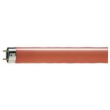 Philips - 726841 Rot fluoreszierendes Neon tl-d 18W/15 T8 G13
