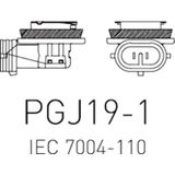 PHILIPS Gloeilamp - Grootlicht - Halogeen - H8 - 12 Volt - Blisterverpakking