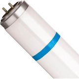 Lamp UV-A Shatterproof Wit 15,0