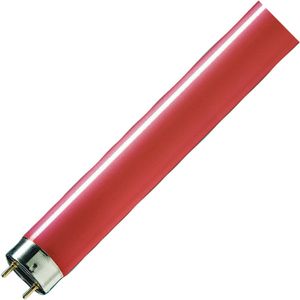 25x Philips G13 T8 TL-buis | 58W 75lm  | 1510mm Rood