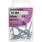 Deltafix Schroefduimen - 10x - Verzinkt Metaal - 40 Mm - Ijzerwaren Bevestigsmaterialen