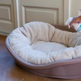 HG - Luchtverfrisser - Effectieve Geurverwijderaar - 250ml