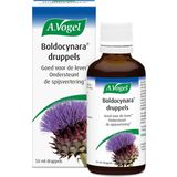 A.Vogel - Boldocynara - Druppels - 100ml - Vegan - Natuurlijk