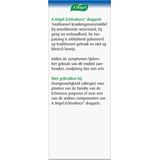 A.Vogel Echinaforce Druppels - 1 x 50 ml