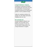 A.Vogel Echinaforce Druppels - 1 x 100 ml