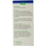 A Vogel - Echinaforce - Kruidenpreparaat - 100% Natuurlijk