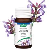 A.Vogel - Famosan Salvia - Tabletten - Natuurlijke Ondersteuning