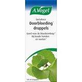A.Vogel - Geriaforce Doorbloeding - Druppels - Ginkgo Biloba