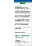 A. Vogel Boldocynara - 1 x 80 tabletten