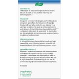 A.Vogel Echinaforce kauwtabletten sterk** + vitamine c 60 kauwtabletten