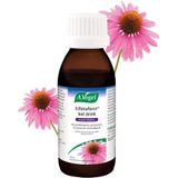 A.Vogel Echinaforce Hot Drink Forte Met Vlierbes - 1 x 100 ml