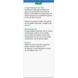 A.Vogel Echinaforce Hot Drink Forte Met Vlierbes - 1 x 100 ml