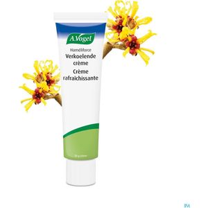 Aambeienzalf - Echinacea Purpurea - Hamamelis - Hypericum - Triticum Walgem