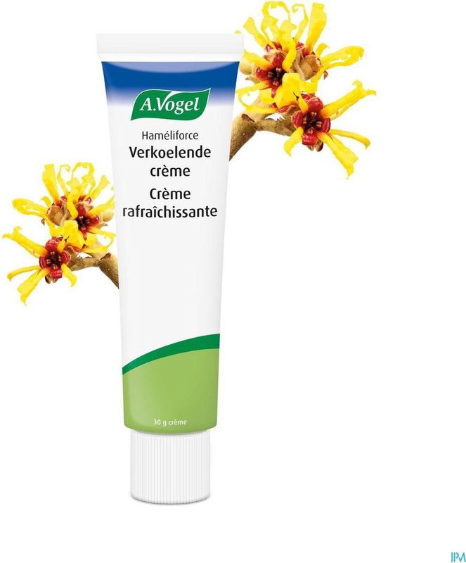 Aambeienzalf - Echinacea Purpurea - Hamamelis - Hypericum - Triticum Walgem