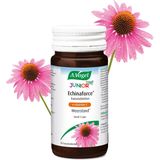 A. Vogel Echinaforce junior & vitamine C 80 kauwtabletten