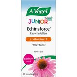 A. Vogel Echinaforce junior & vitamine C 80 kauwtabletten