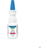 Cinuforce - Neusspray Forte - Menthol - Hypertone Zoutoplossing - 2,7% Zeezout