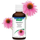 A.Vogel Echinaforce 100ml
