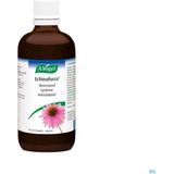A.Vogel Echinaforce 100ml