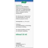 A.Vogel Echinaforce Immuunspray 30 ml