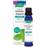 A.Vogel Cinuforce Inhalatiedruppels 10 ml