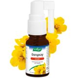 A.Vogel Oorspray Oorpijn 20 ml