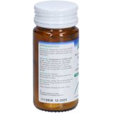 A.Vogel - Focus en Concentratie - Kauwtabletten - 60 Stuks