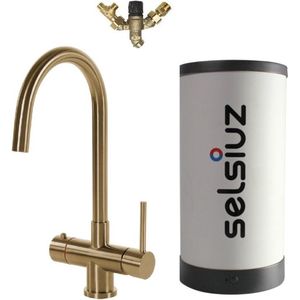 Selsiuz Rond Gold / Goud met Combi (Extra) boiler