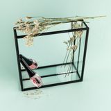 KOH - Calcium Nail Whitener - Nagellak - Transparant - 10 ml