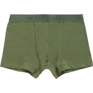 Ten Cate Boxershort - set van 2 Groen