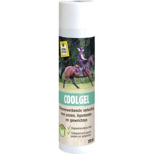 VITALstyle Coolgel - Paarden Supplementen - 250 ml