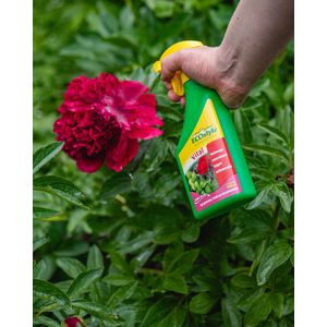 ECOstyle Vital Spray Weerstand verhogende Plantenvoeding - Voorkomt Schimmels - Groente-, Fruit-, en Sierplanten - 500 ML