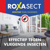 Roxasect Spray tegen Vliegende Insecten - Insectenspray - Ongediertebestrijding - Vliegenspray - 400ml