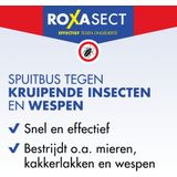 Roxasect spray tegen kruipende insecten en wespen (400 ml)