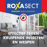 12x Roxasect Spuitbus tegen Kruipende Insecten en Wespen 400 ml