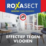12x Roxasect Spray tegen Vlooien 300 ml
