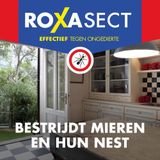 Roxasect mierenloktoren (2 stuks)