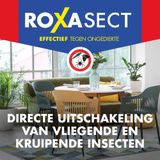Roxasect Bevriezingsspay - Insectenbeschermingsmiddel - 500 ml