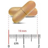 Wapiti Speciaal Multivitamine Na een Gastric Bypass 60 capsules