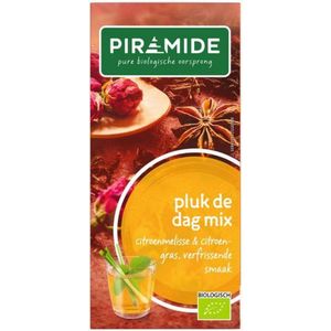 Piramide Biologische Theezakjes Pluk de Dag 20 zakjes