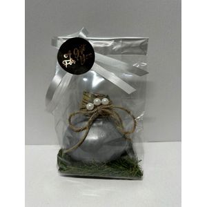 Wax Amaryllis Zilver in leuke geschenkverpakking - relatiegeschenk