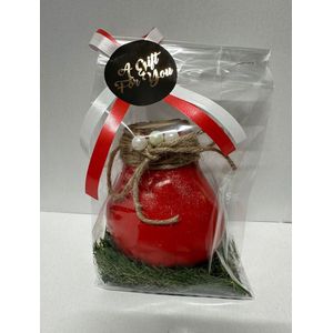 Wax Amaryllis Rood in leuke geschenkverpakking - relatiegeschenk