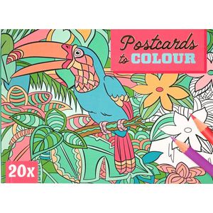 Postkaarten - Dieren - Multi Kleuren - 20 Stuks