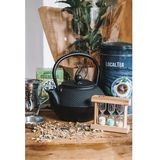 Bredemeijer - Theepot Jang 1,1L gietijzer zwart