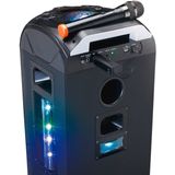 Lenco Microfoon Draadloos - MCW-011BK - Draadloze Microfoon met 6,3 mm ontvanger - Plug & Play - Zwart