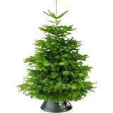 Elho Nordman 39 - Kerstboomstandaard voor Binnen - Ø 39.2 x H 18.0 cm - Groen