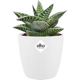 Elho Bloempot Brussels Rond Mini Ø10,5cm Wit | Bloempotten & accessoires