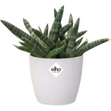 Elho Bloempot Brussels Rond Mini Ø10,5cm Wit