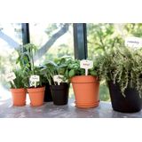 Elho Green Basics Grow Pot 17 - Bloempot voor Binnenbuitenkweken En Oogsten - Ø 17.0 x H 15.8 cm - Living Black