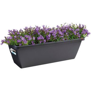 Elho Barcelona Balkonbak 50 - Plantenbak voor Balkon Buiten - Ø 49.8 x H 16.0 cm - Antraciet
